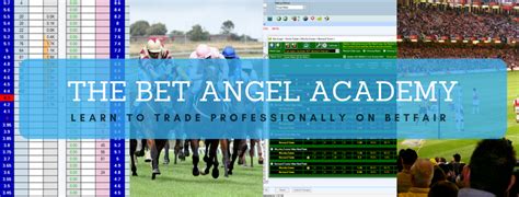 bet angel academy review|The Bet Angel Academy .